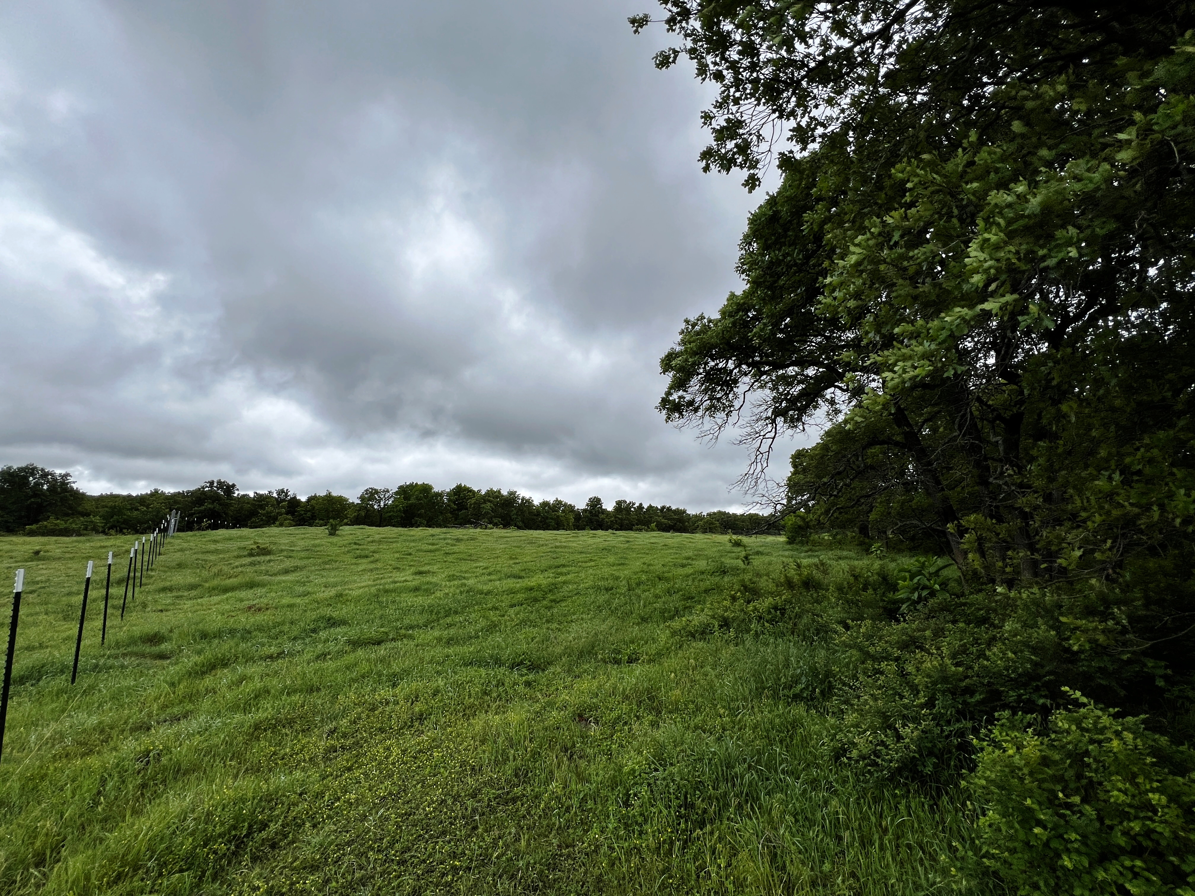 An unfinished fence on a green pasture