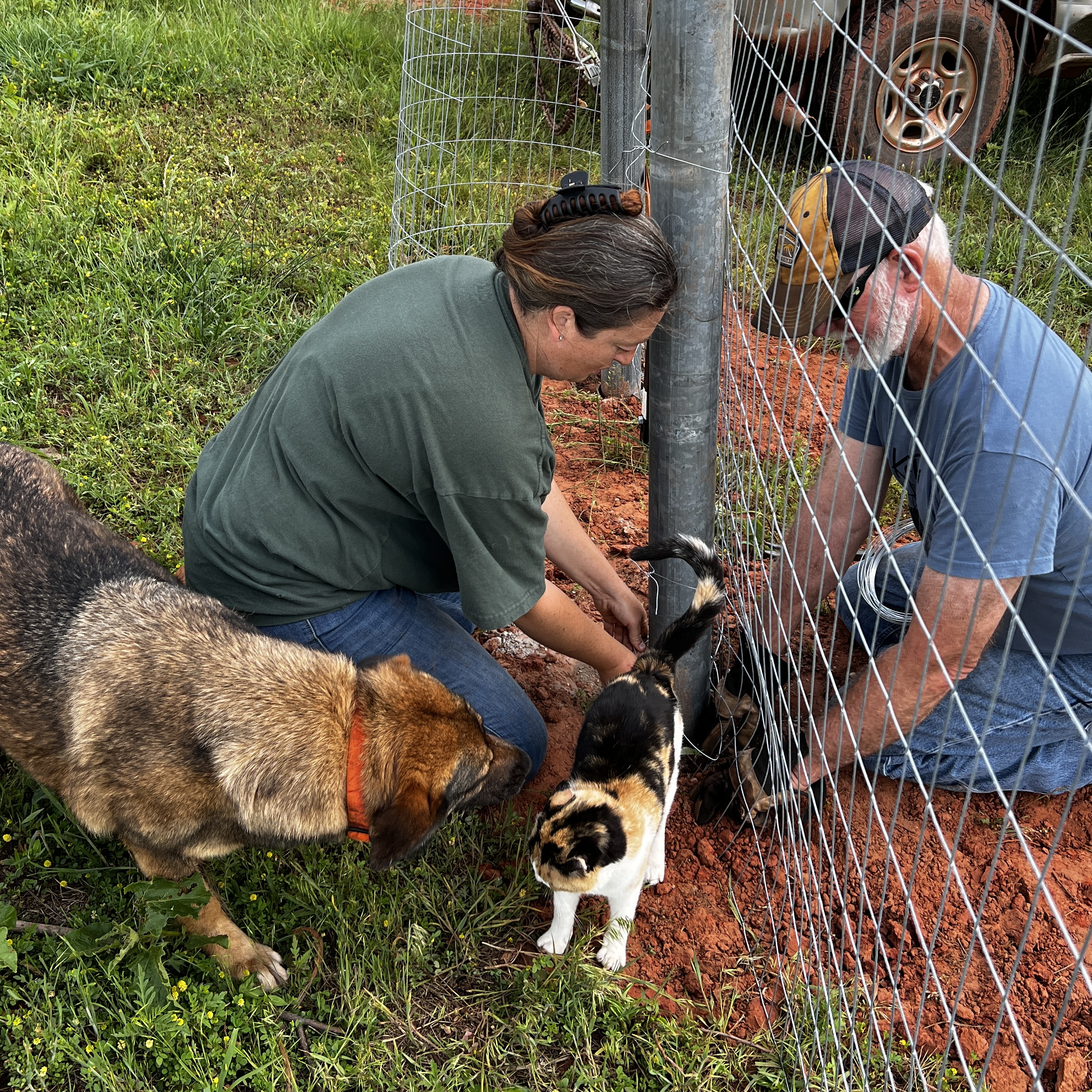 Man, woman, dog, cat