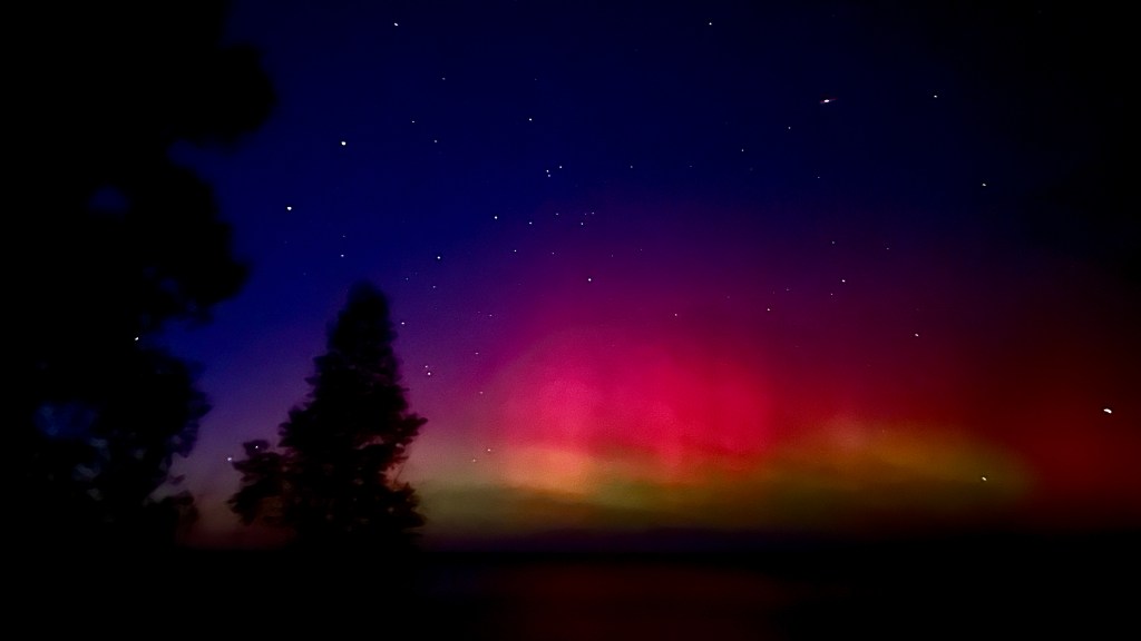 A sky scene with tree silhouettes and vivid colors of the northern lights.