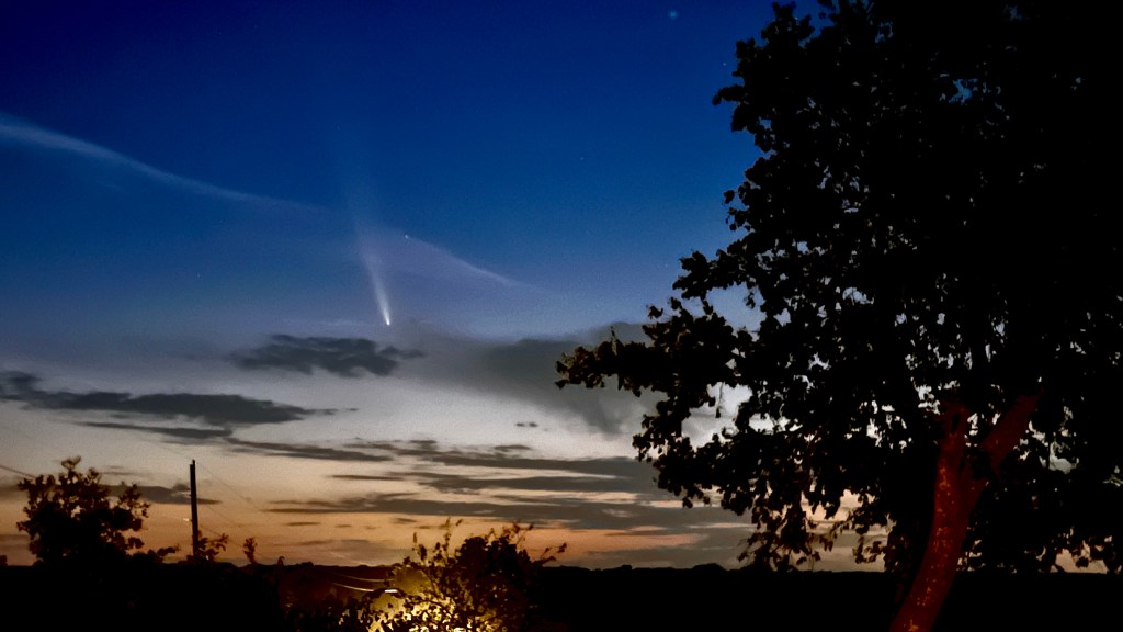 An evening image of the sky with a bright comet and a long tail.