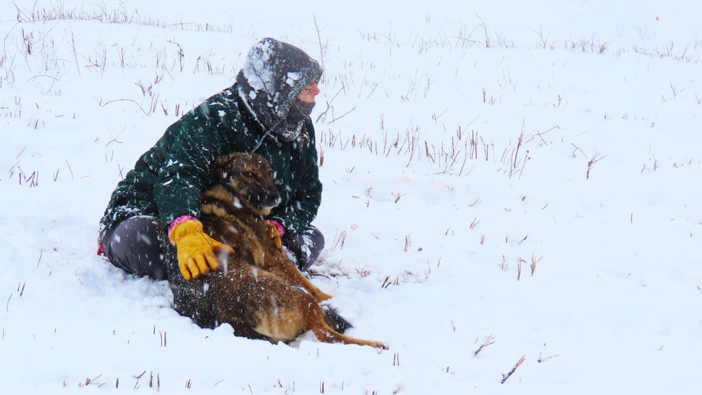 Julie and Bella in the snow