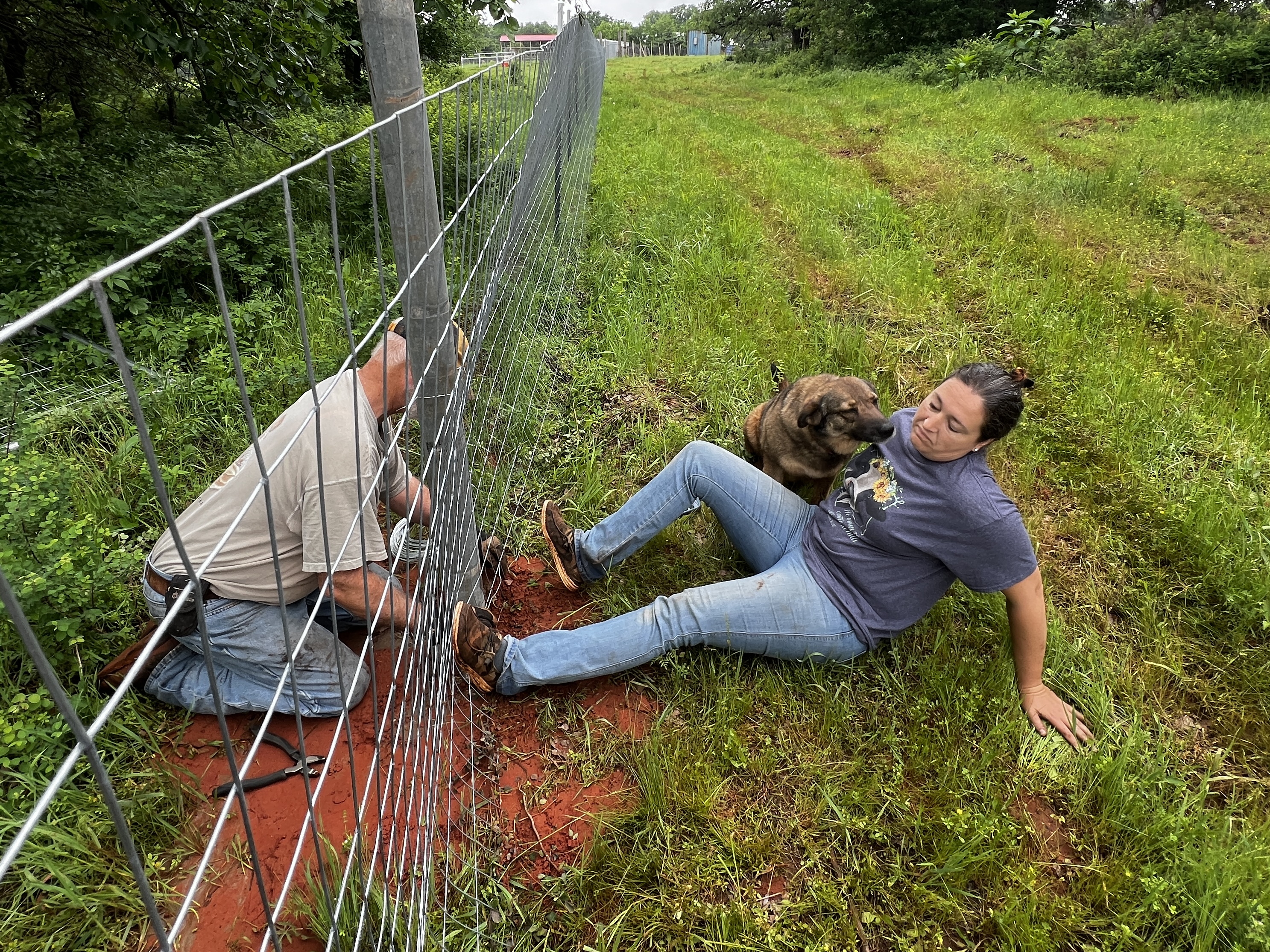 A man, woman and a dog installing a fence