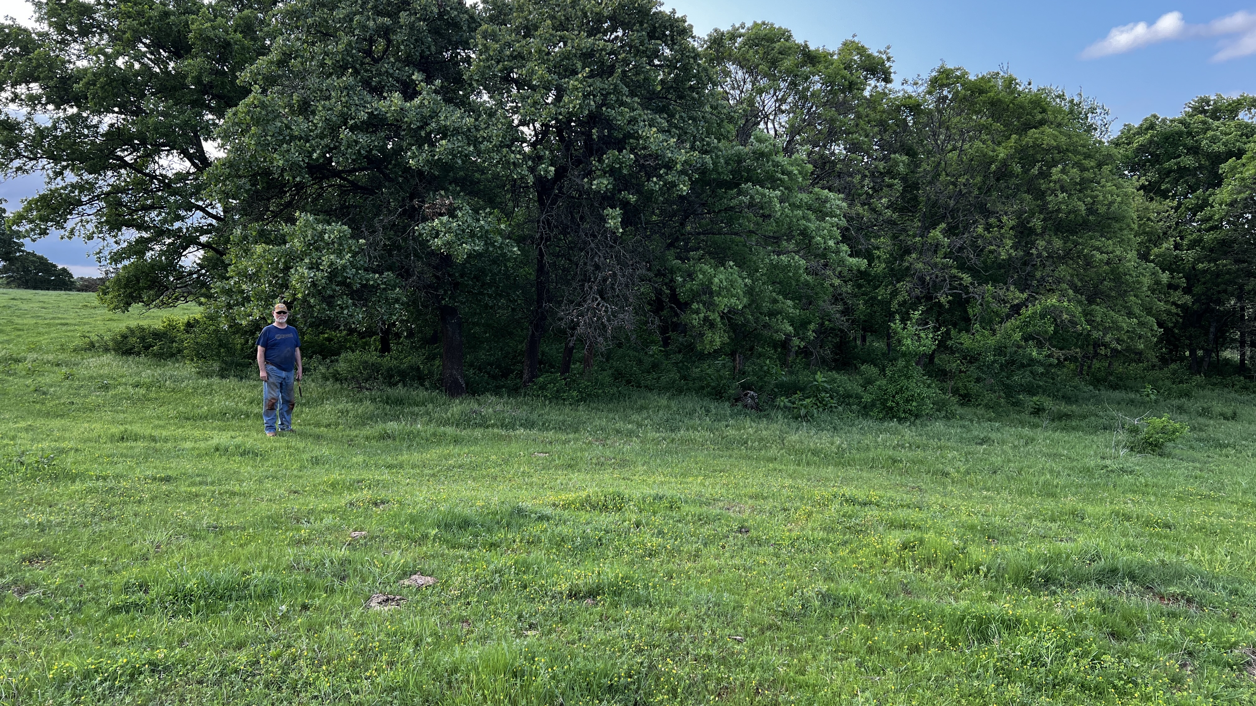 A man standing in front of a grove of trees