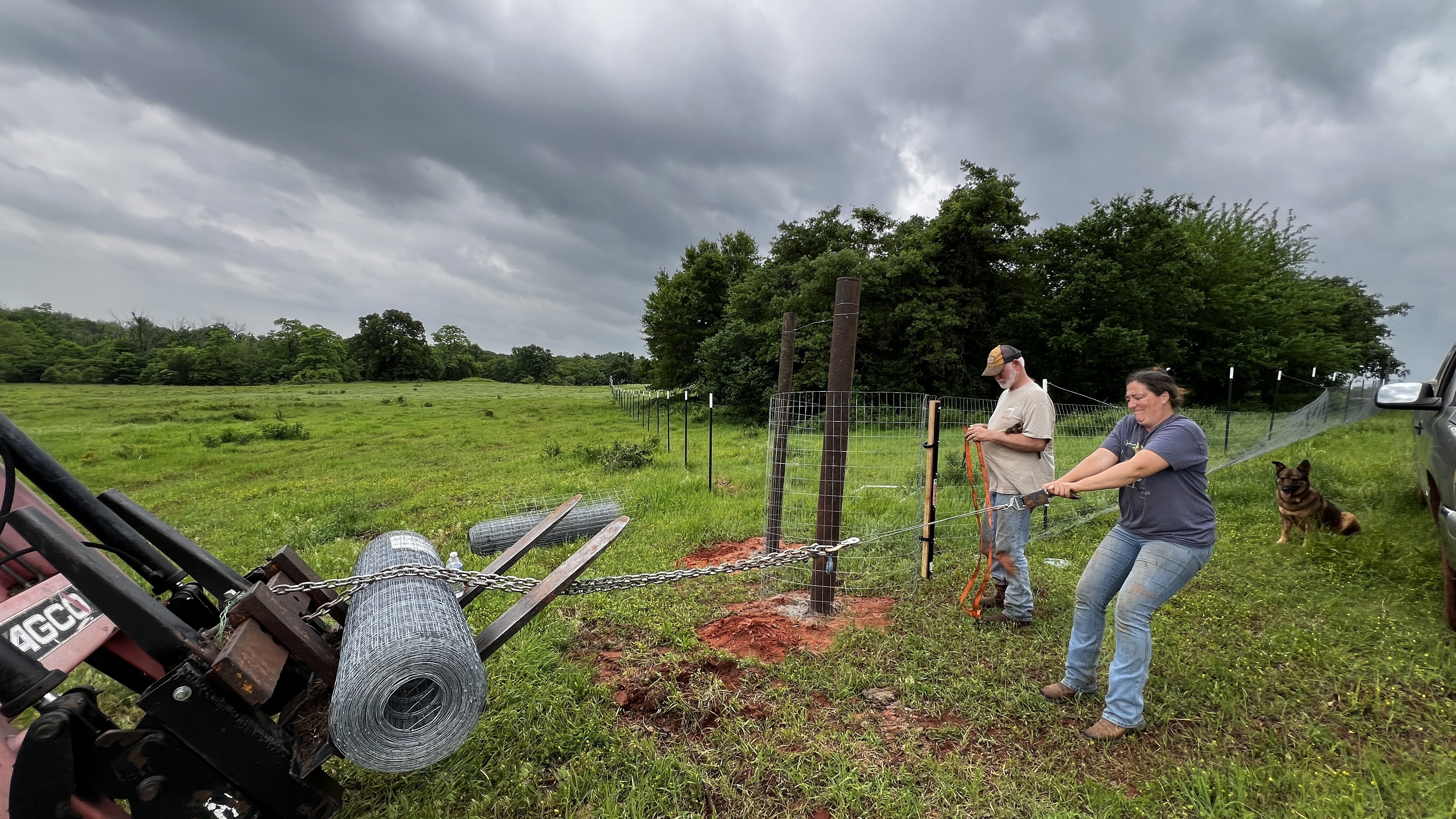 A man and a woman installing a fence