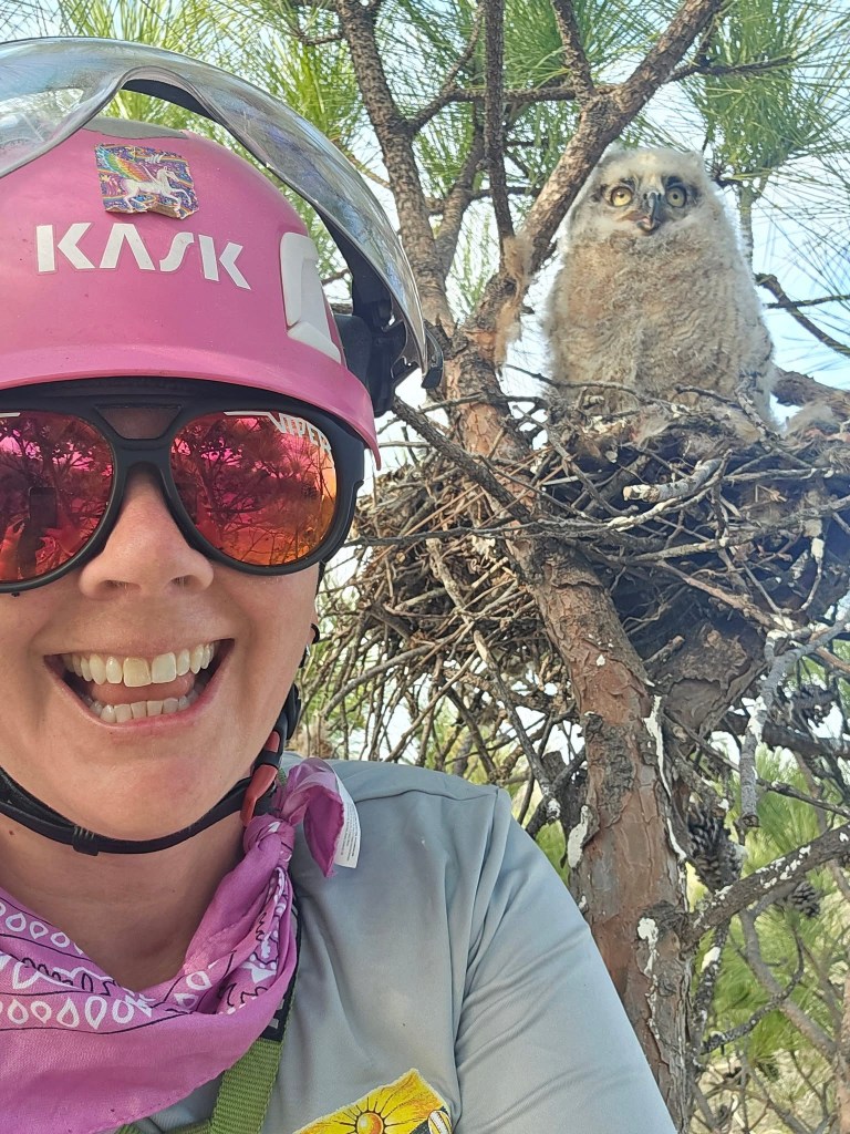 A smiling person wearing a pink helmet and sunglasses is taking a selfie. They are standing next to a tree, where an owl chick is perched in its nest, looking curiously at the camera. The background features green pine needles and branches.