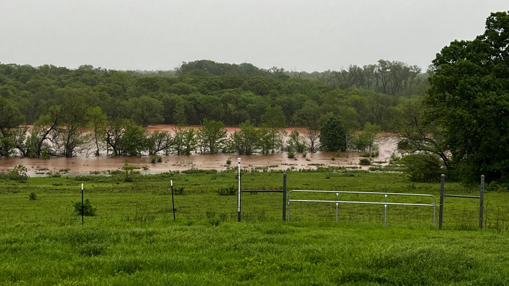 A flooded pasture.